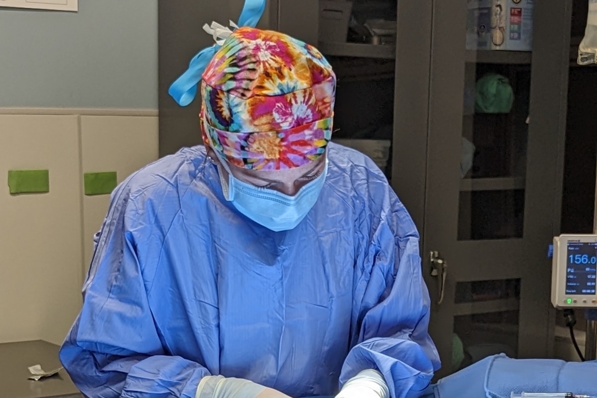 Pet-Orthopedics