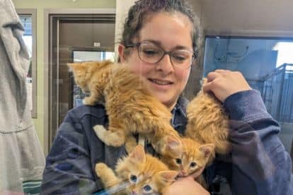 Pet-Wellness-Plans