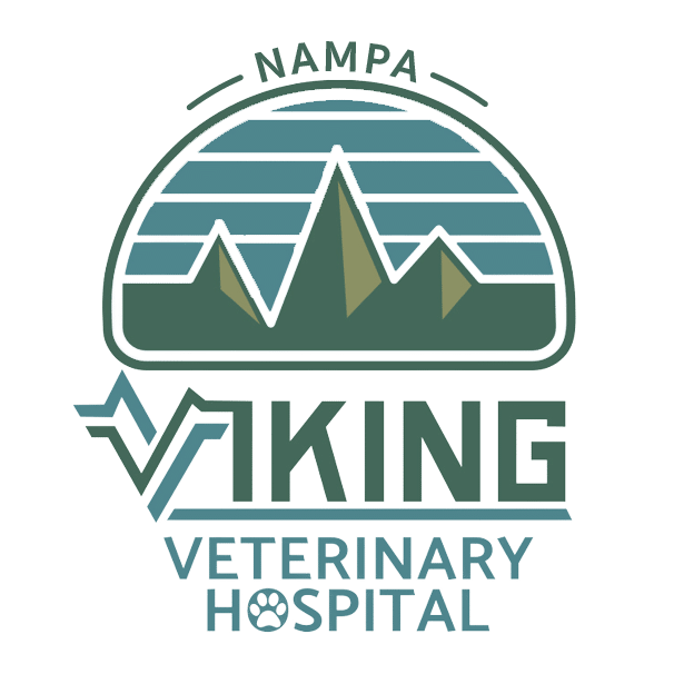 Viking Veterinary Hospital Nampa Logo