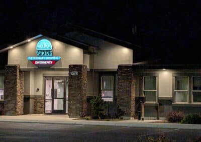 Viking Veterinary Hospital exterior at night