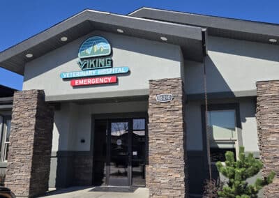 Viking Veterinary Hospital exterior