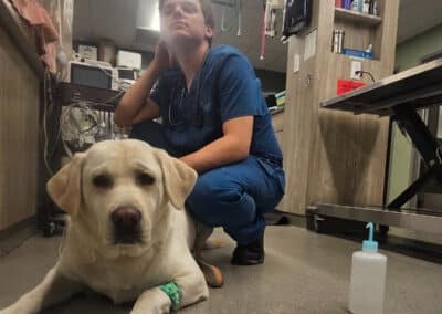 A veterinarian posing with a yellow lab