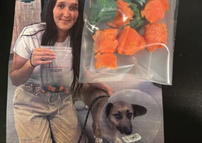 A picture of a cork board that shows what a dog had eaten