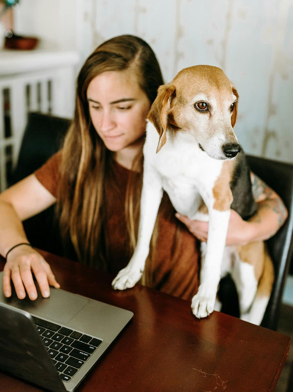 Working at desk with cute beagle.